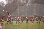 DSC 5006