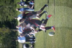 DSC 0323