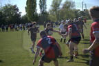 DSC 0505