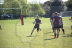 DSC 0559