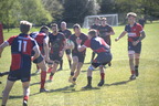 DSC 0608