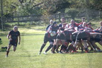 DSC 0702