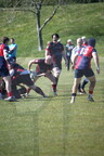 DSC 9947