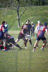 DSC 9950